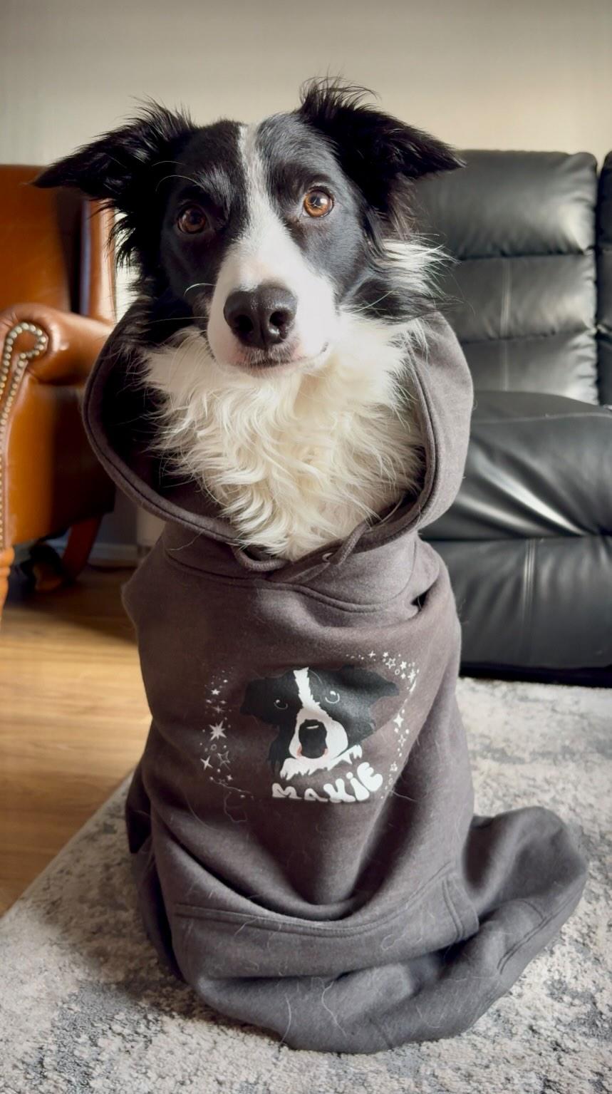 Personalised Hoody with 1 Pet, Sparkle, optional Instagram Handle