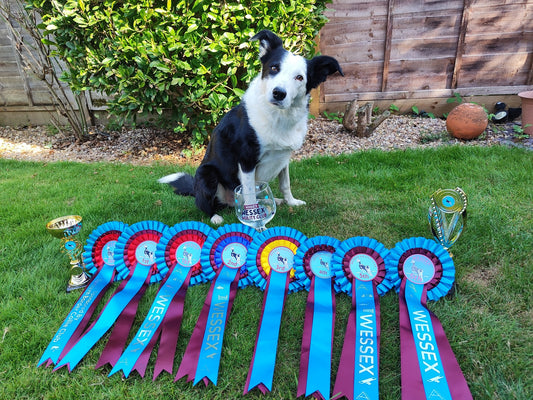 Glassware with your business logo design - Agility Awards