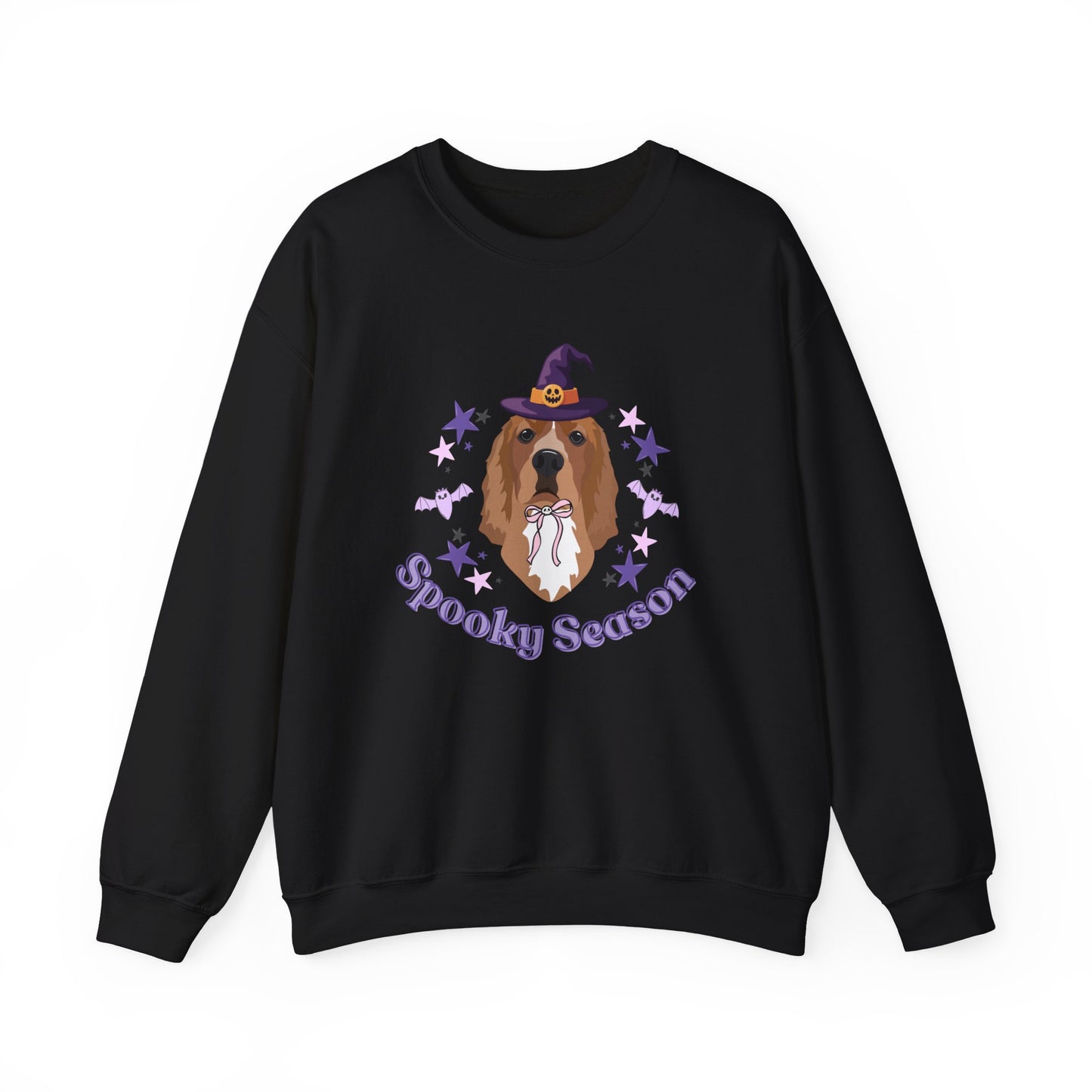 Personalised Spooky Season Dog Sweatshirt, Halloween Sweatshirt allo