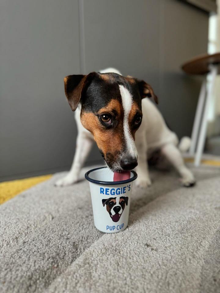 Personalised Pup Cup using YOUR Pet Photo | Custom Pup Cup