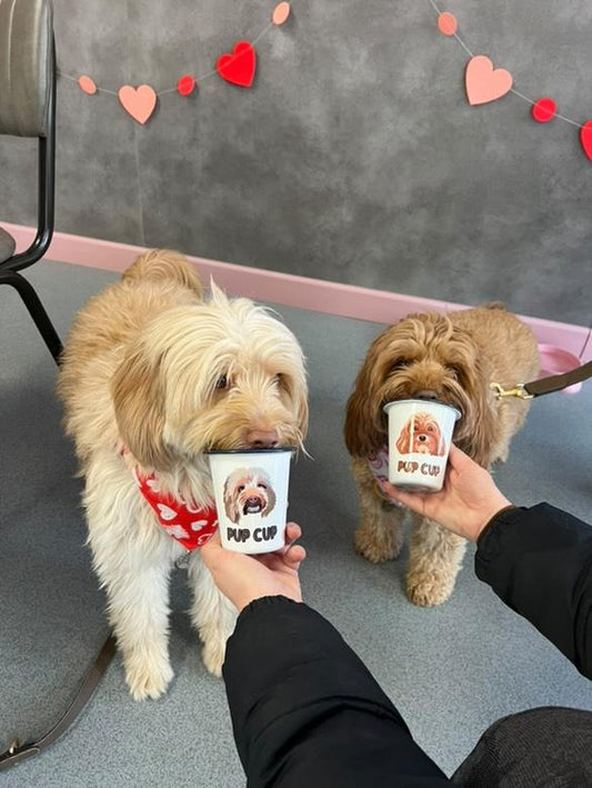 Personalised Pup Cup using YOUR Pet Photo | Custom Pup Cup