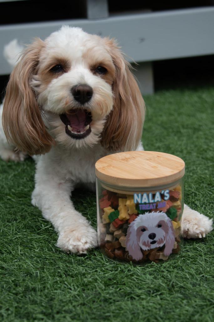 Personalised Pet Treat Jar Personalised Treat Jar for Dogs,Treat Jar Glass with Bamboo Lid Small