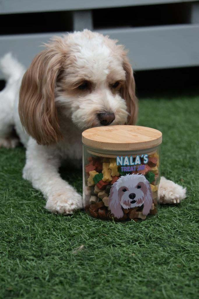 Personalised Pet Treat Jar Personalised Treat Jar for Dogs,Treat Jar Glass with Bamboo Lid Small