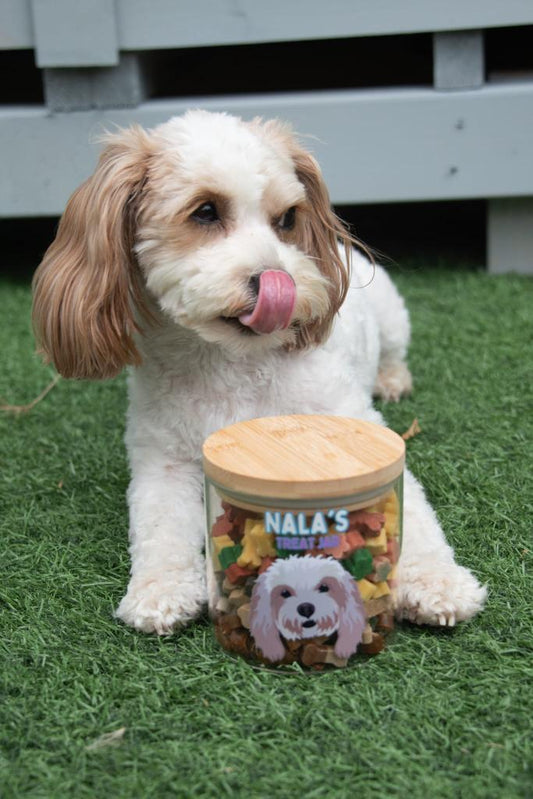 Personalised Pet Treat Jar Personalised Treat Jar for Dogs,Treat Jar Glass with Bamboo Lid Small