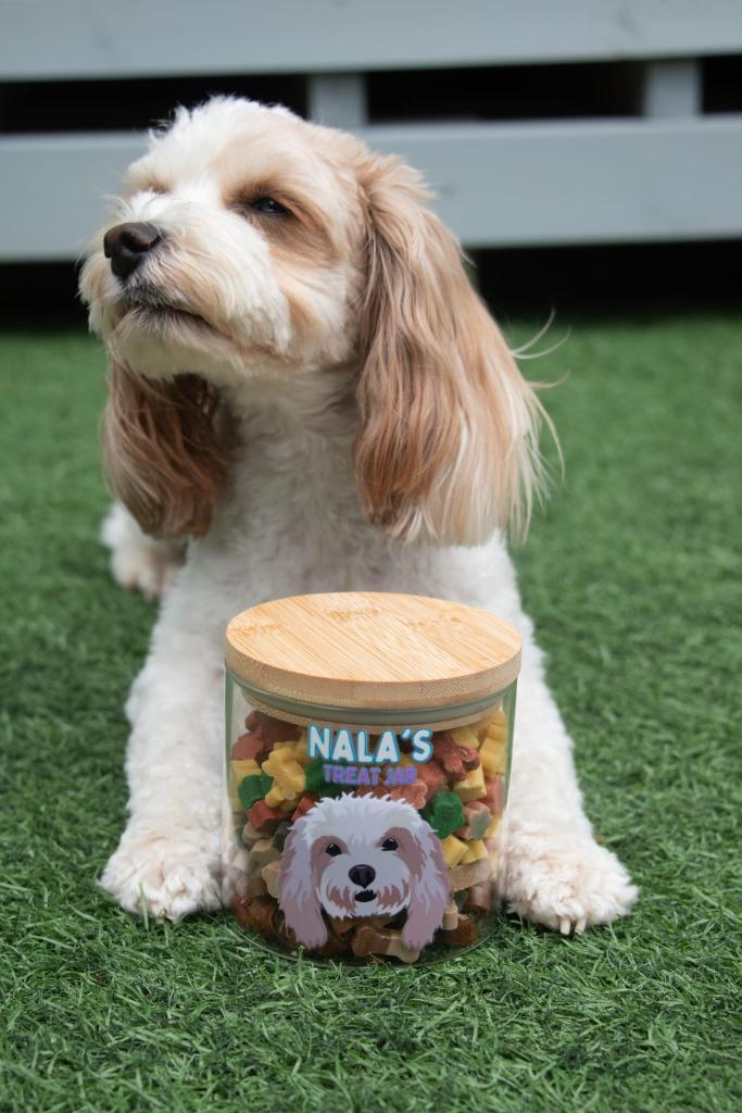 Personalised Pet Treat Jar Personalised Treat Jar for Dogs,Treat Jar Glass with Bamboo Lid Small