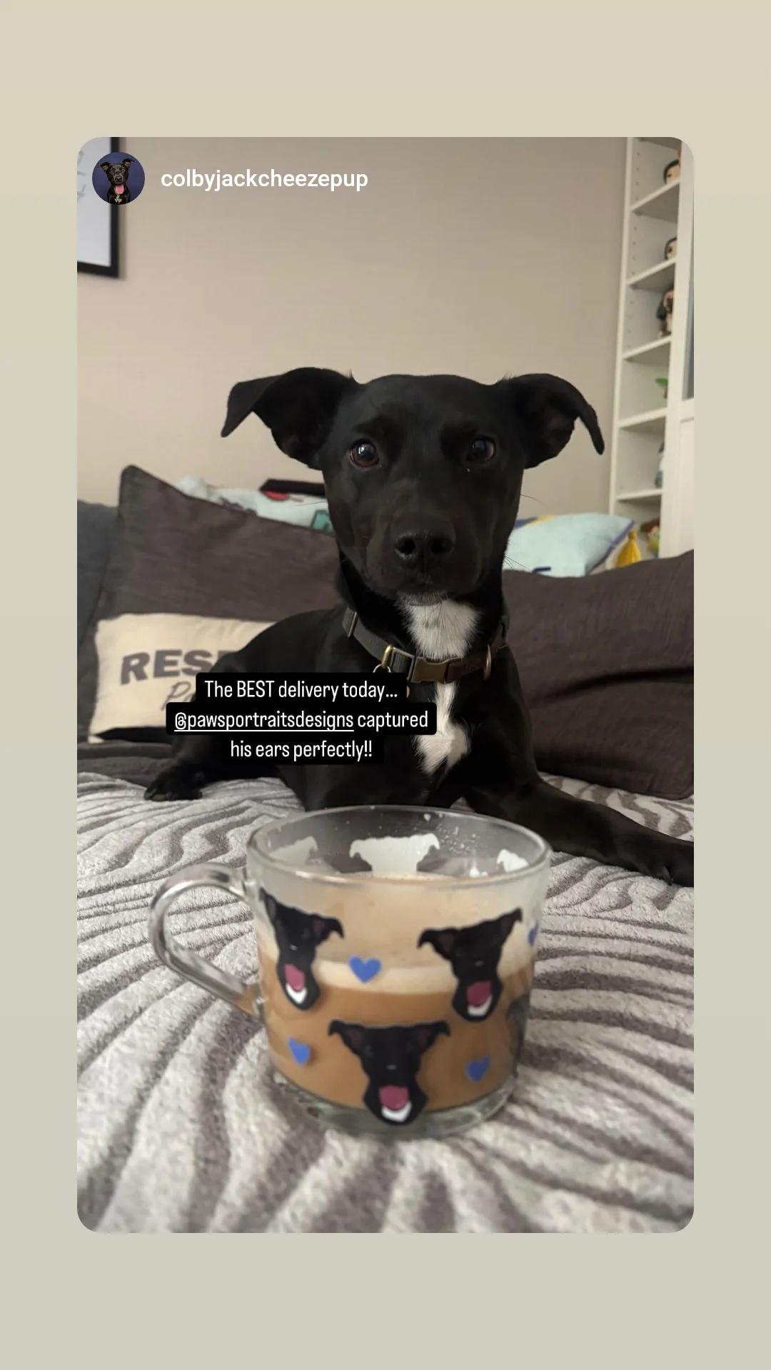 Personalised Pet Glass Mug using YOUR Pet Photo | Custom Mug