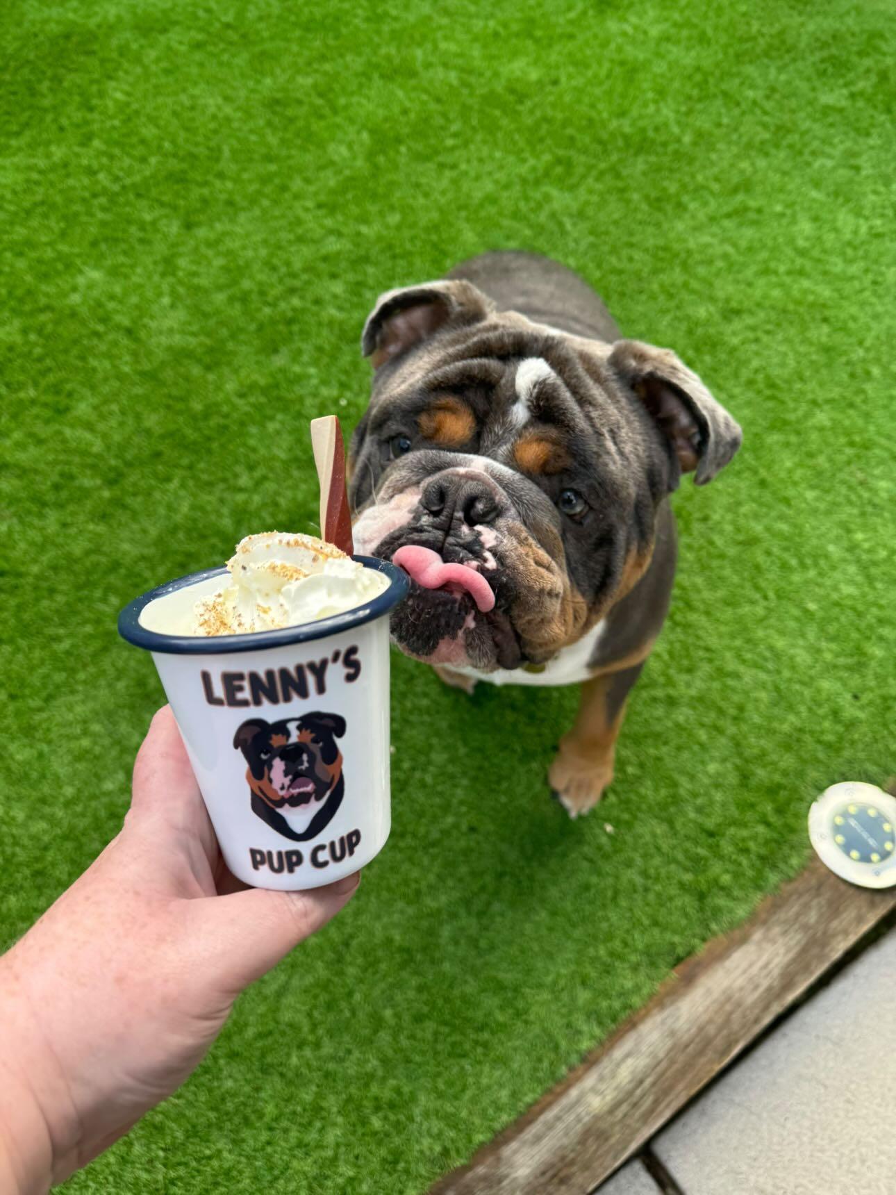 Personalised Pup Cup using YOUR Pet Photo | Custom Pup Cup