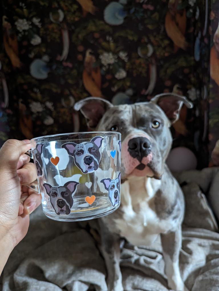 Personalised Pet Glass Mug using YOUR Pet Photo | Custom Mug