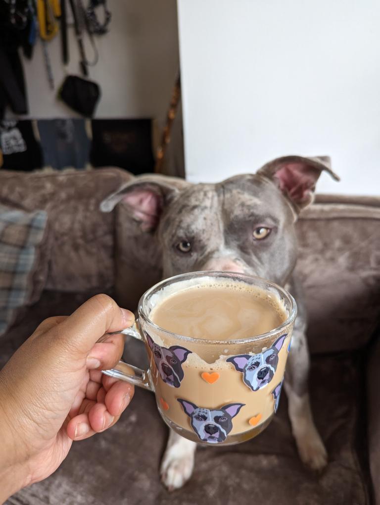 Personalised Pet Glass Mug using YOUR Pet Photo | Custom Mug