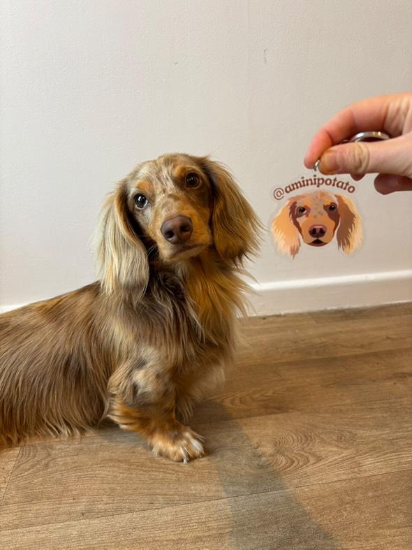 Custom Acrylic Keyrings 1 Pet