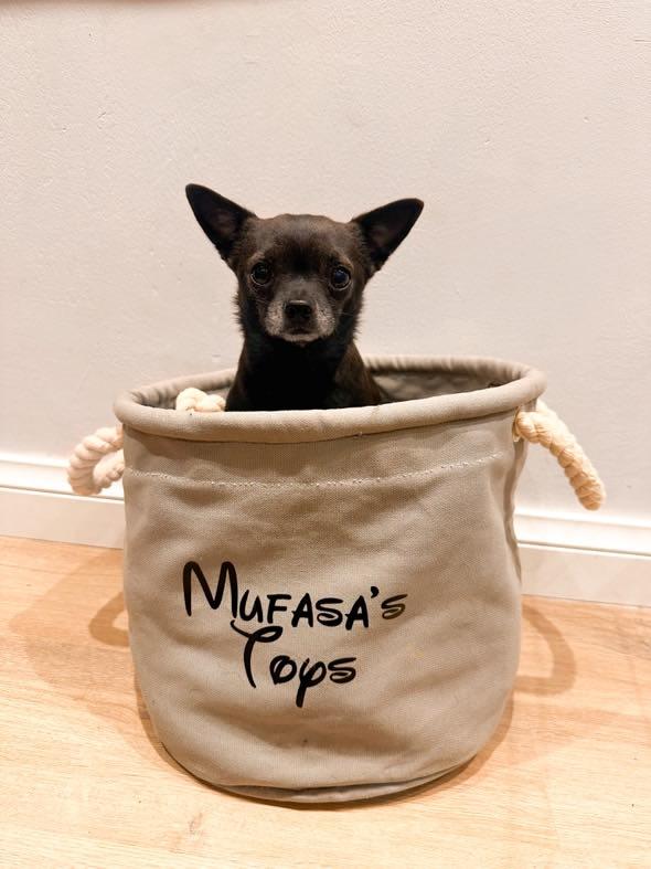 Name personalisation Toy Baskets with Rope Handles