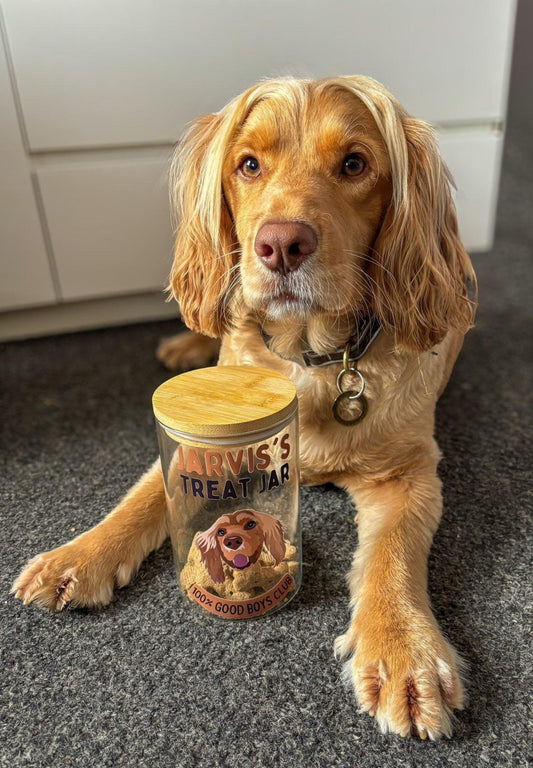 Personalised Treat Jar for Dogs,Treat Jar Glass with Bamboo Lid Medium