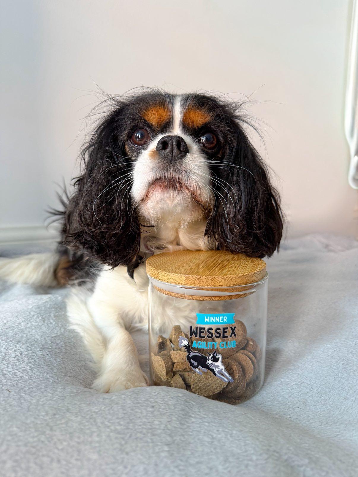 Treat Jar with your business logo design