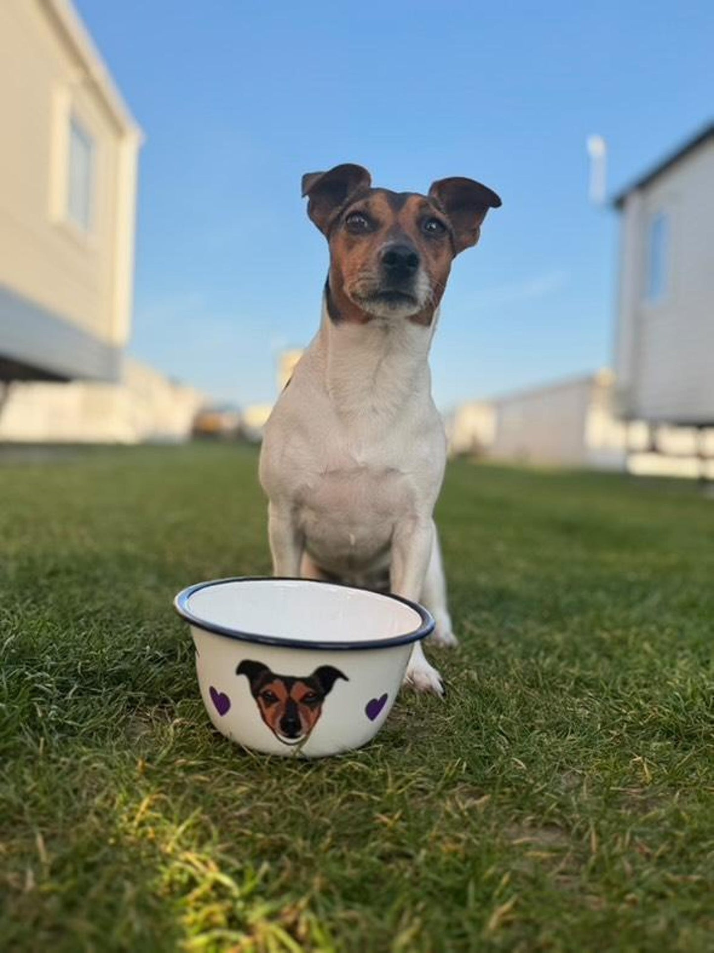 Enamel Dog Bowl Personalised