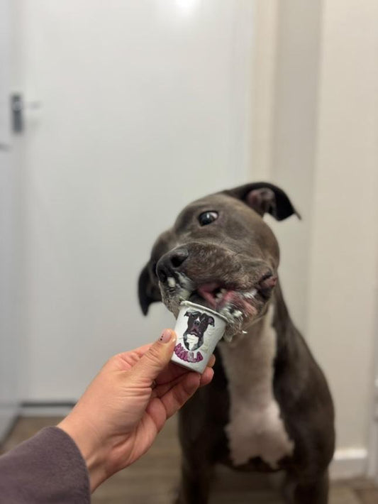 Personalised 2oz Pup Cups using YOUR Pet Photo | Custom Pup Cups