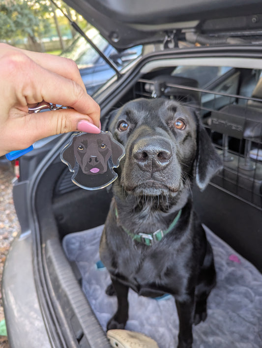 Custom Acrylic Keyrings 1 Pet