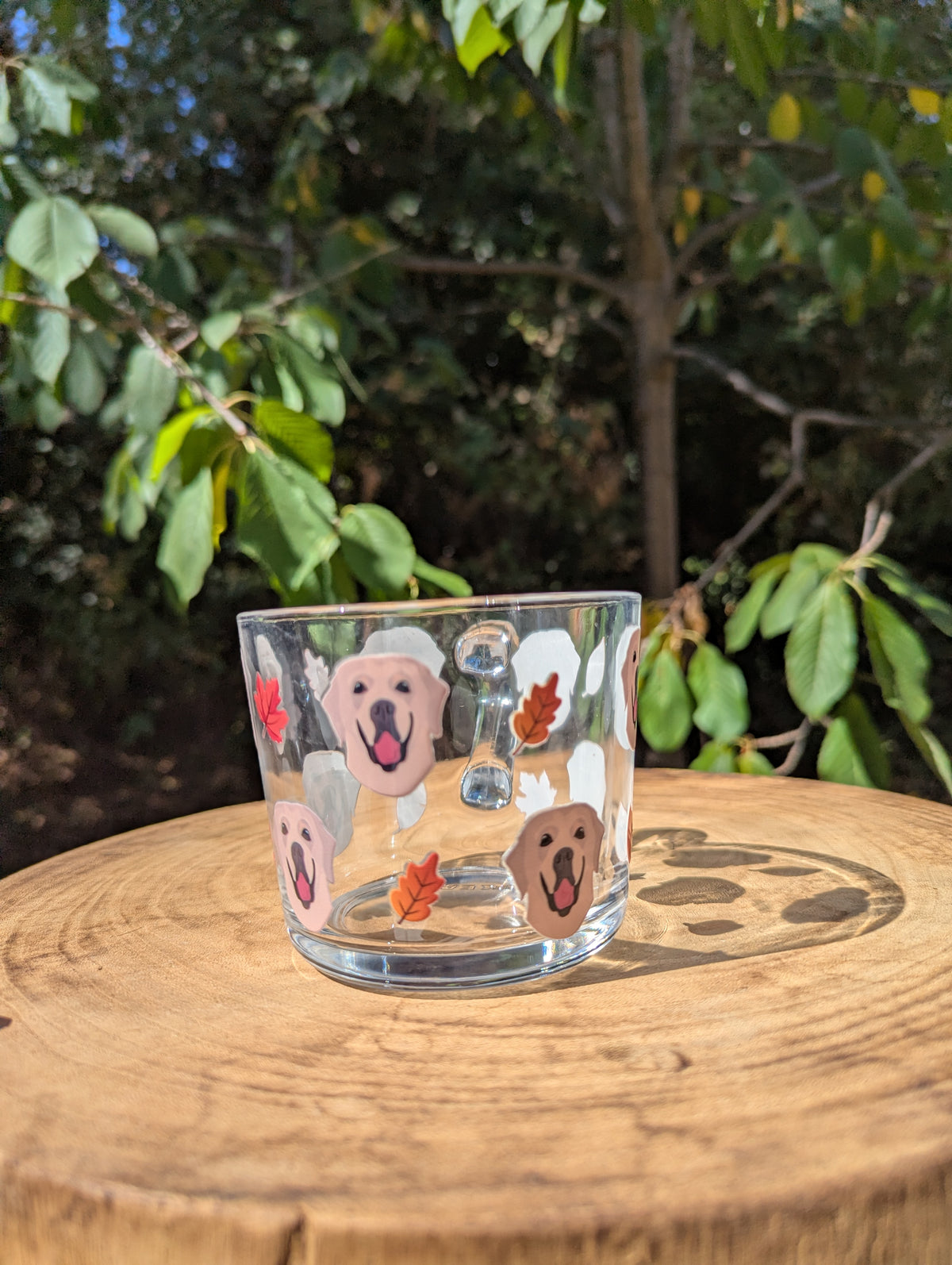 Personalised Autumnal Pet Glass Mug using YOUR Pet Photo | Custom Mug