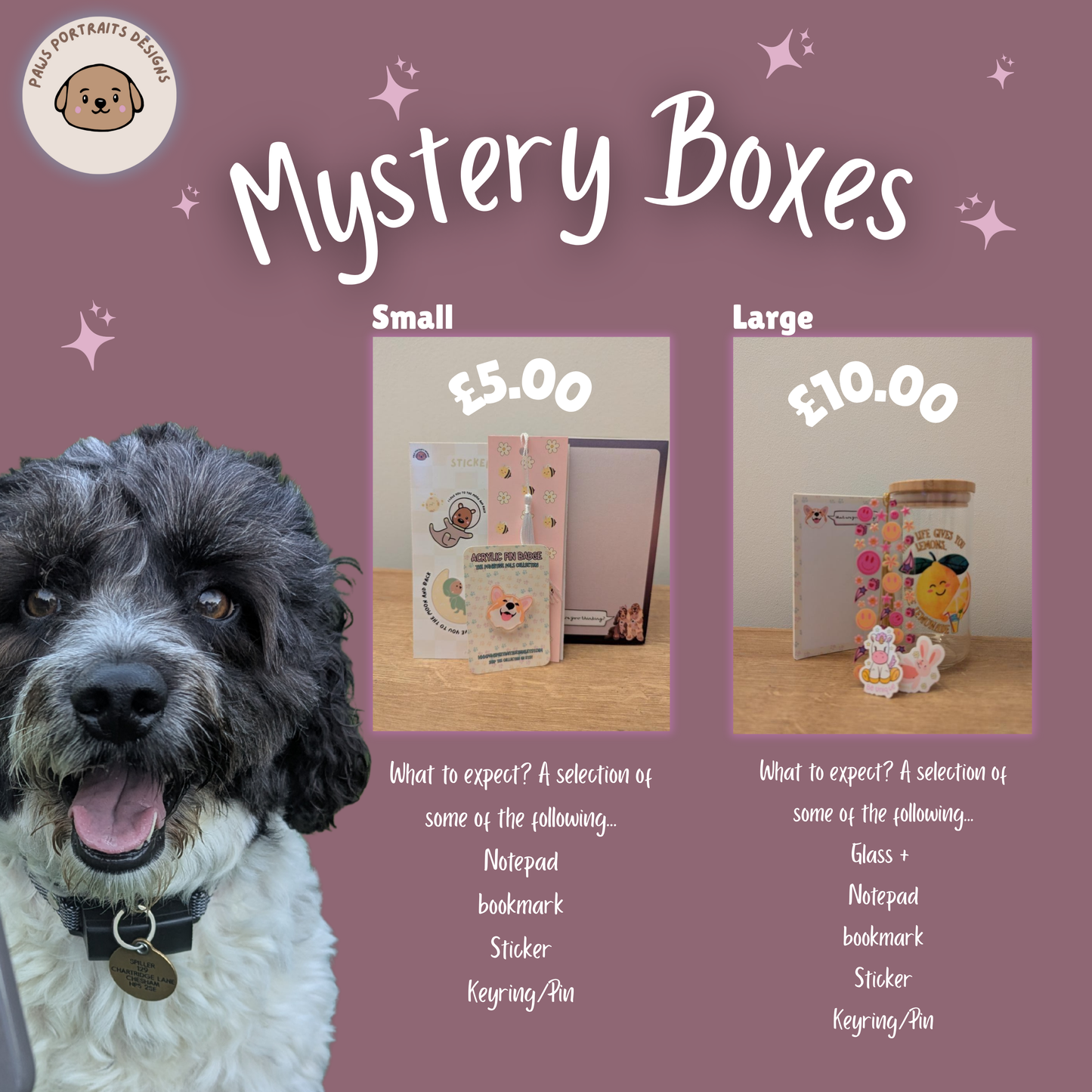 Mystery Box (Large)