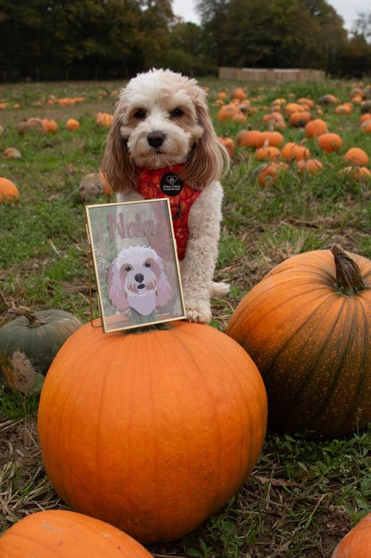 Hanging Frame - Pet Portrait