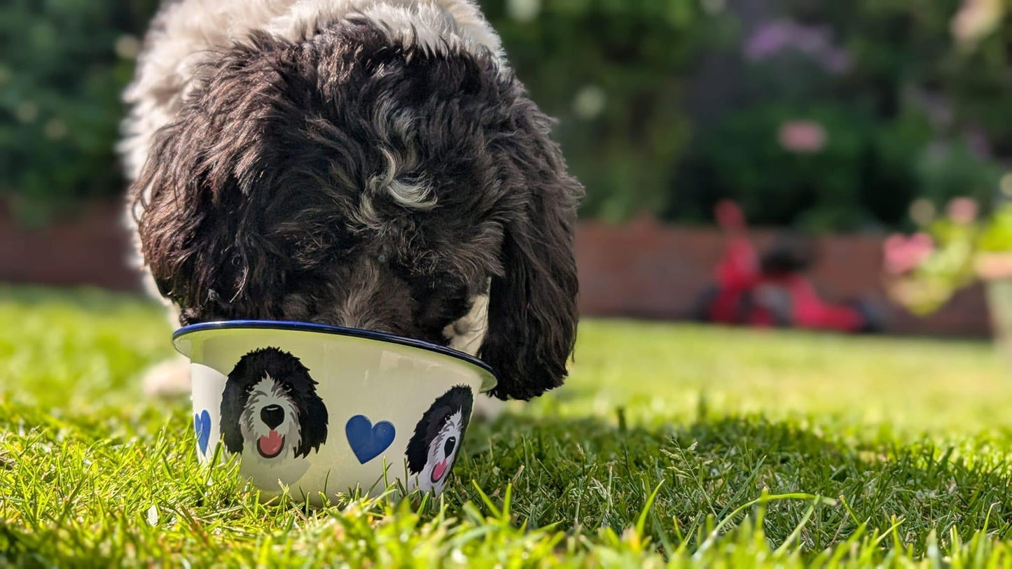 Enamel Dog Bowl Personalised