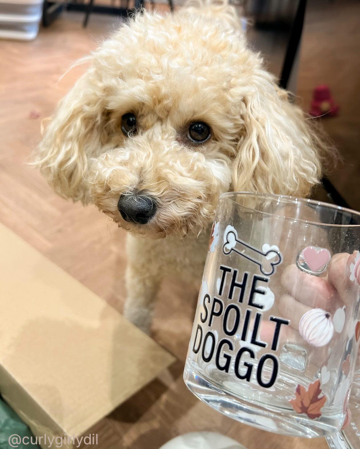 Personalised Branded Glass Mug using YOUR small biz logo | Custom Mug