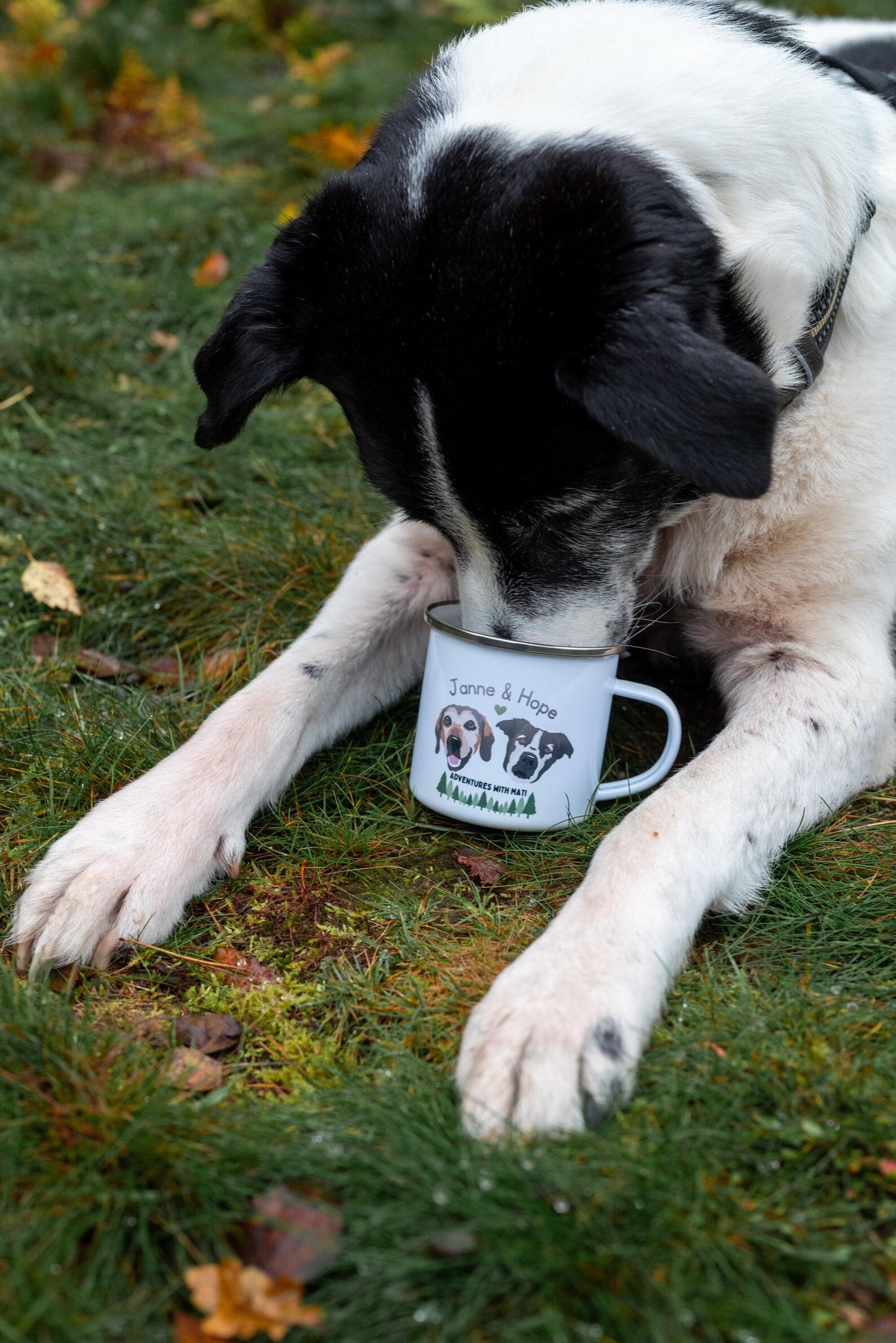 Personalised Enamel Mug using YOUR Pet Photo | Camping Mug