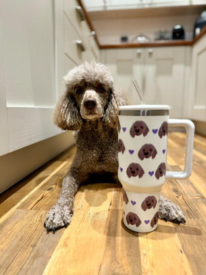 Personalised Stanley Cup using Pet Photo