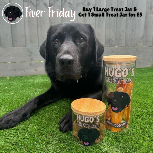 Personalised Treat Jar for Horses,Treat Jar Glass with Bamboo Lid LARGE