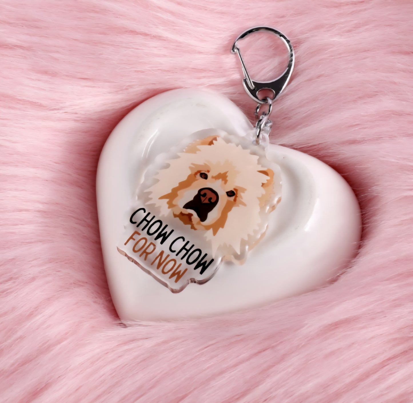 Custom Acrylic Keyrings 2 Pets