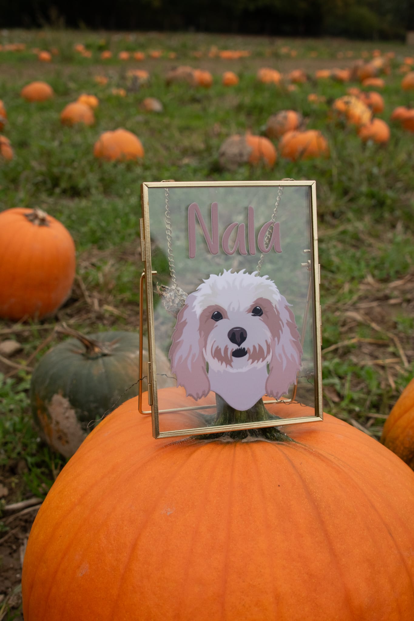 Hanging Frame - Pet Portrait