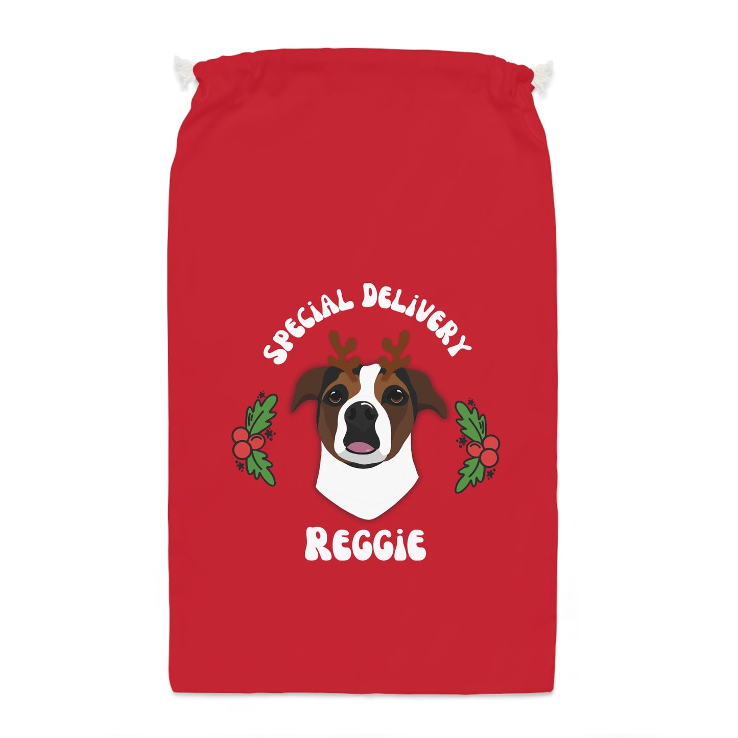 Personalised Christmas present sacks 1 Pet