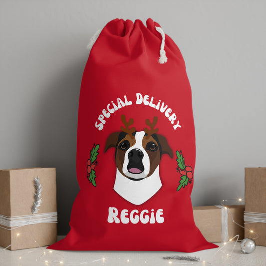Personalised Christmas present sacks 1 Pet