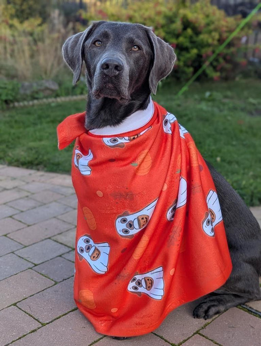 Halloween Dog Fleece Blanket