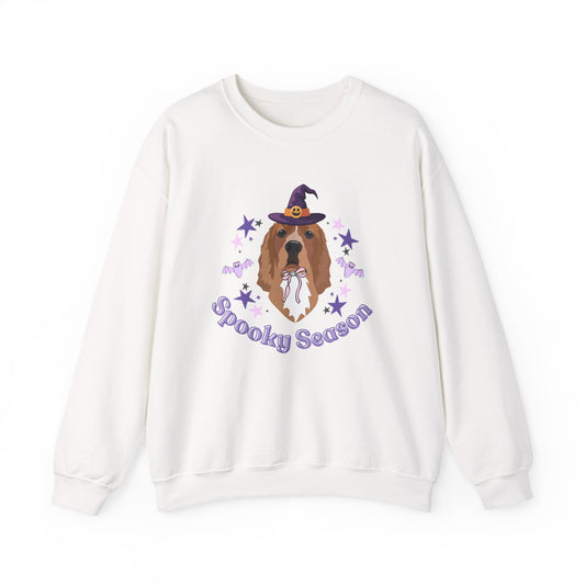 Personalised Spooky Season Dog Sweatshirt, Halloween Sweatshirt allo