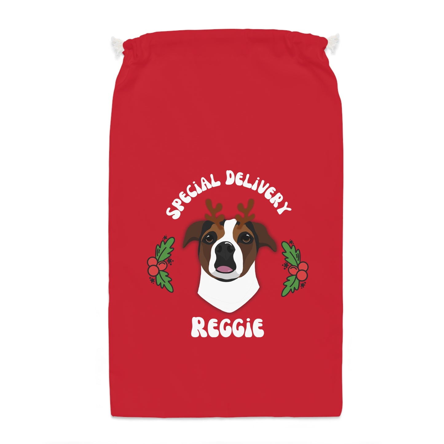 Personalised Christmas present sacks 1 Pet