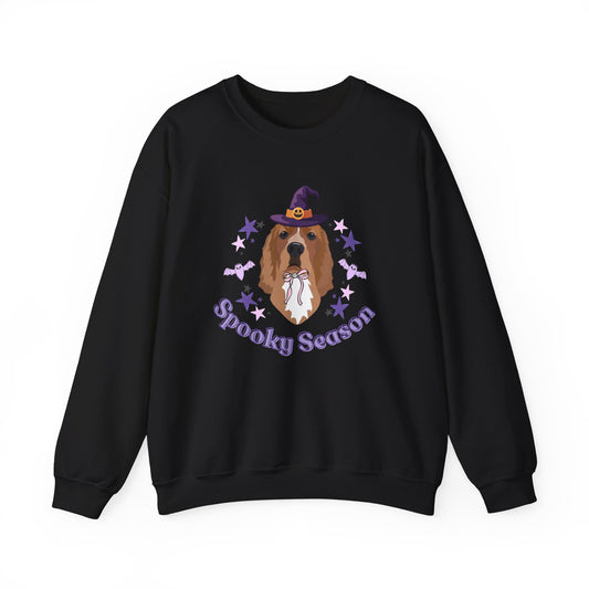 Personalised Spooky Season Dog Sweatshirt, Halloween Sweatshirt allo
