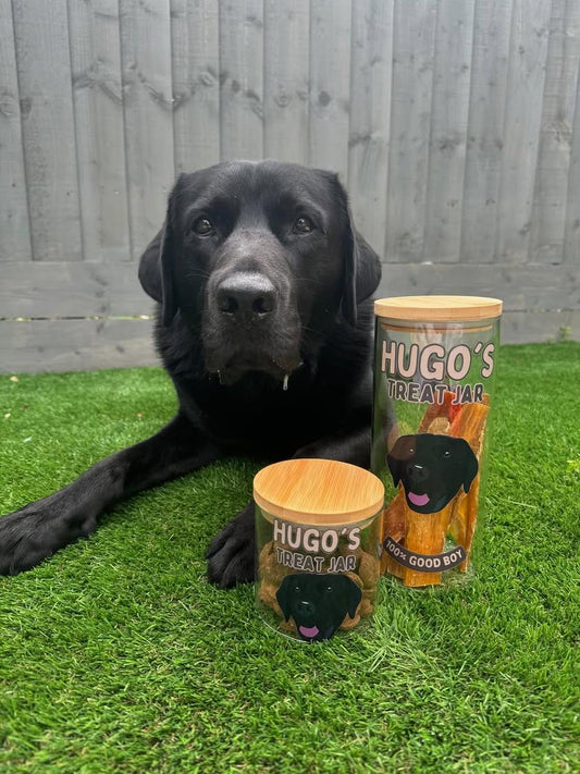 Personalised Treat Jar for Dogs,Treat Jar Glass with Bamboo Lid Large