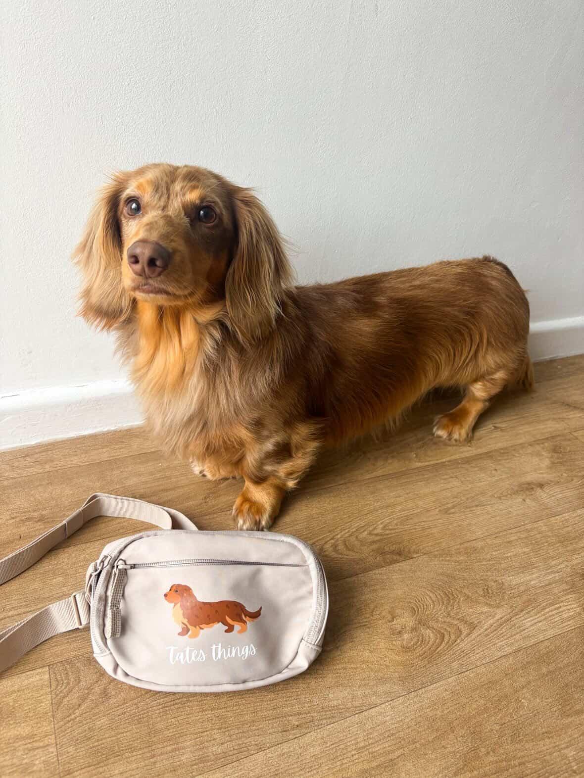 Personalised Dog Walking Across Body Bag