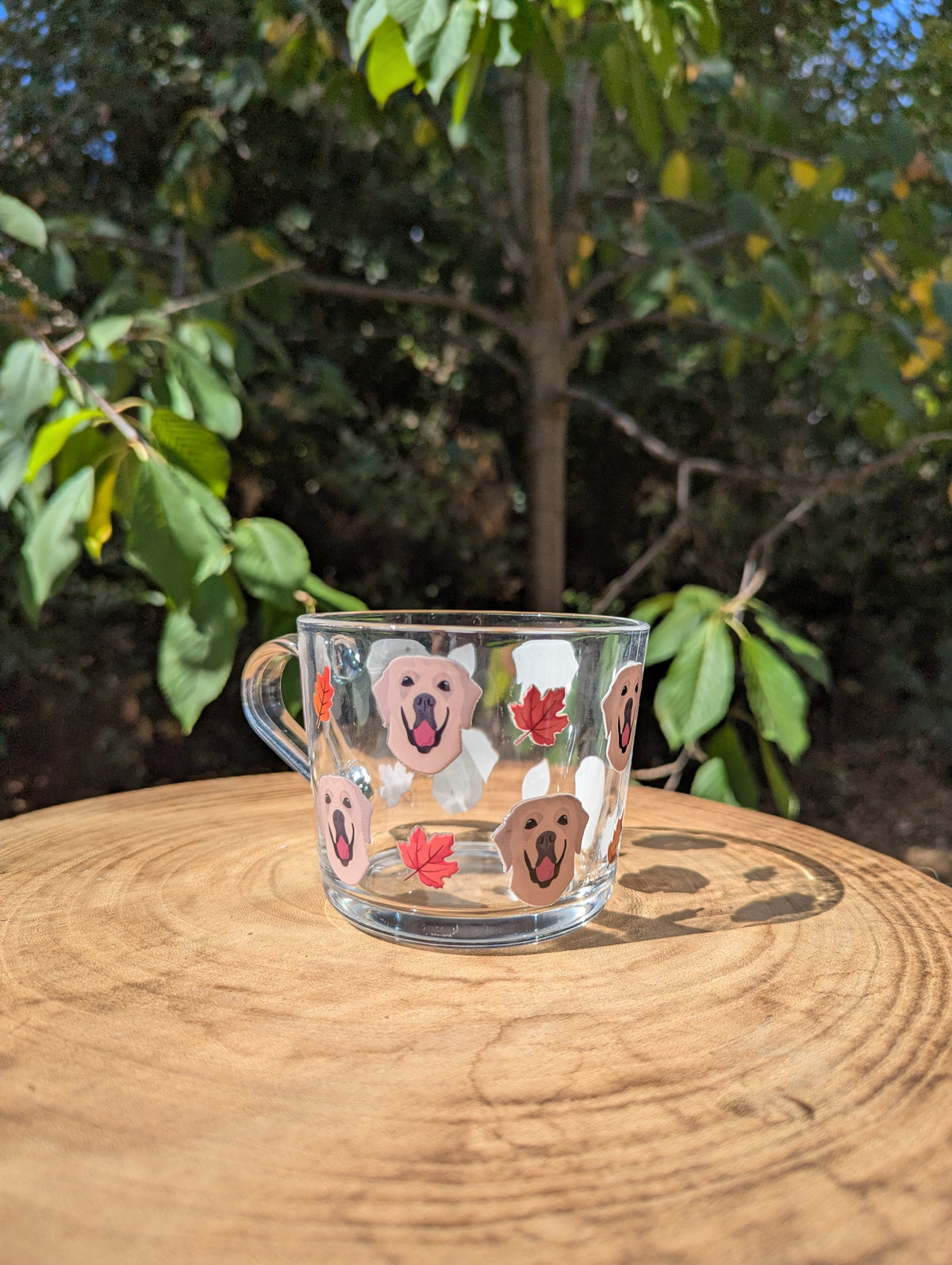 Personalised Autumnal Pet Glass Mug using YOUR Pet Photo | Custom Mug