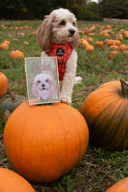 Hanging Frame - Pet Portrait