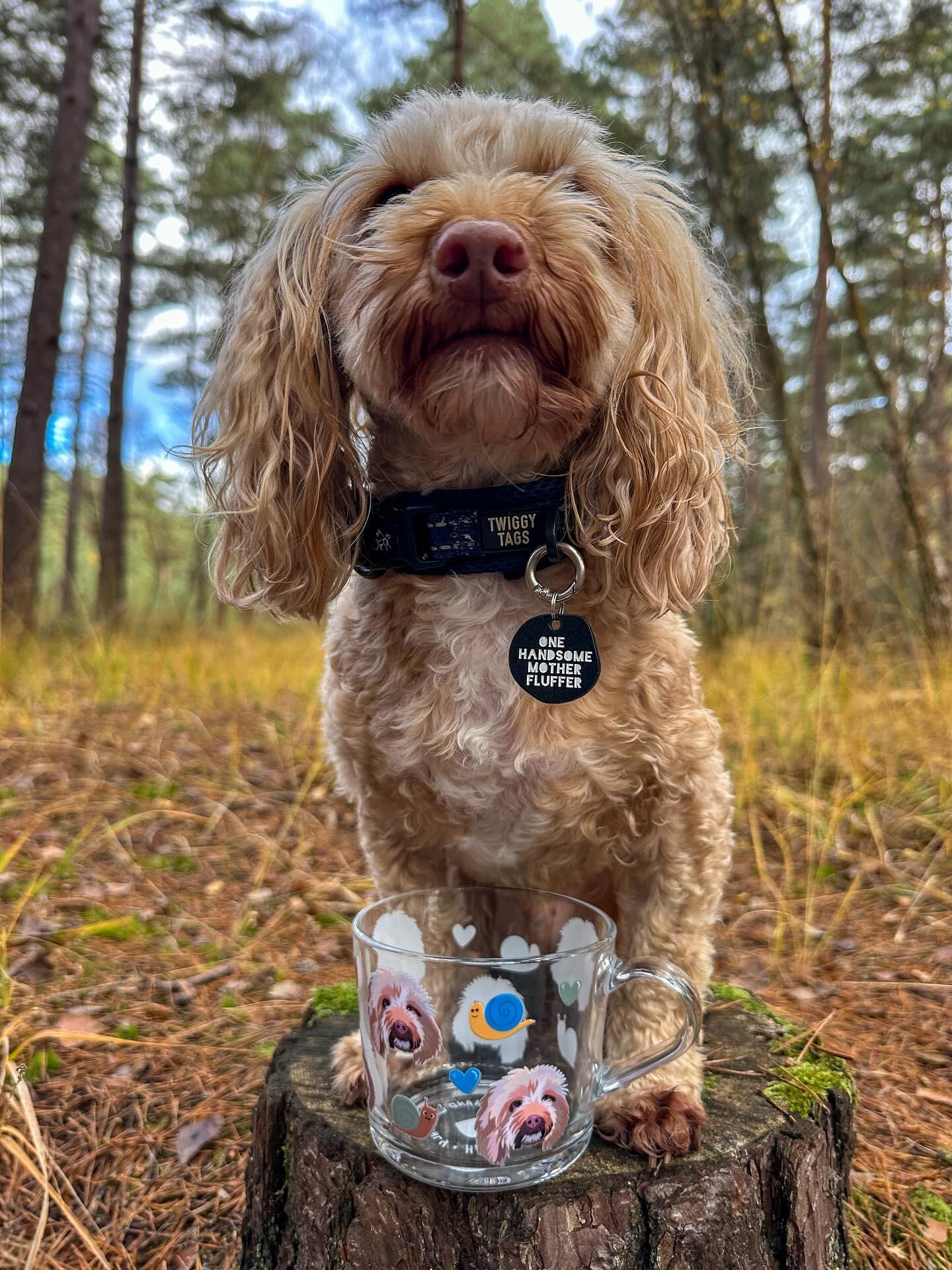 Personalised Pet Glass Mug using YOUR Pet Photo | Custom Mug