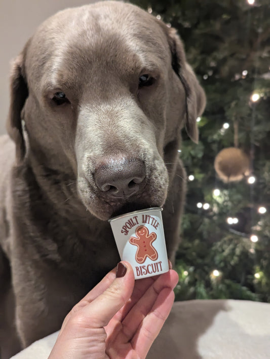 Personalised 2oz Pup Cups using YOUR Pet Photo | Custom Pup Cups