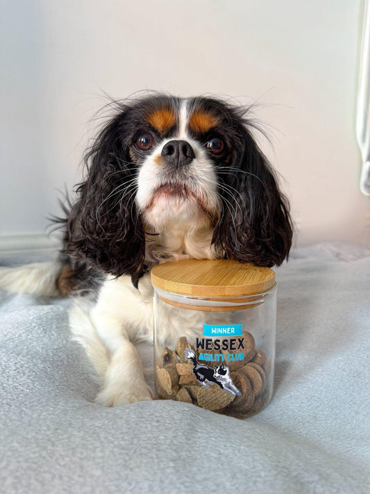Treat Jar with your business logo design - Agility Awards
