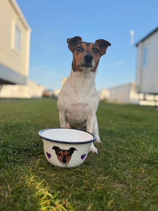 Enamel Dog Bowl Personalised