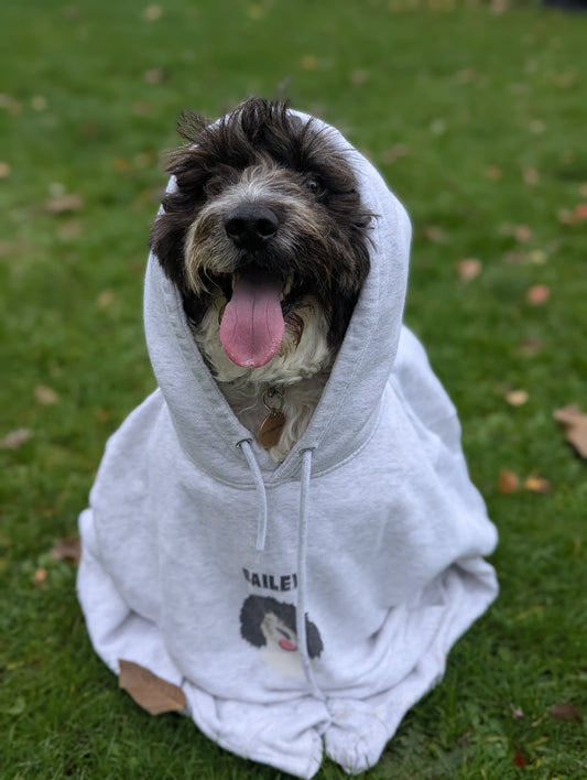 Personalised Hoody 1 Pet with name & face, cosy hoody