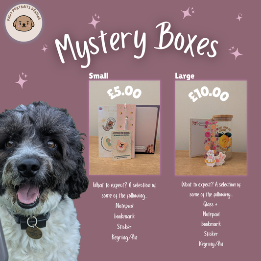 Mystery Box (small)