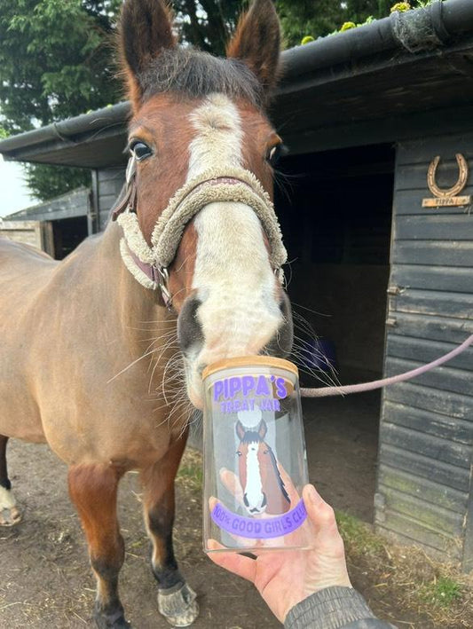Personalised Treat Jar for Horses,Treat Jar Glass with Bamboo Lid LARGE