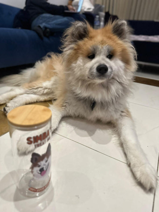 Personalised Treat Jar for Dogs,Treat Jar Glass with Bamboo Lid Large