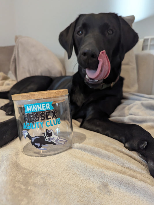 Treat Jar with your business logo design - Agility Awards