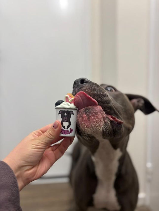 Personalised 2oz Pup Cups using YOUR Pet Photo | Custom Pup Cups